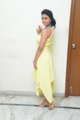  Kruthika Jayakumar Interview About Rojulu Marayi